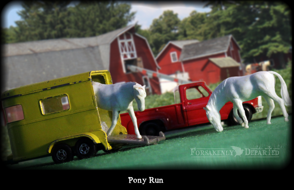 Pony Run
